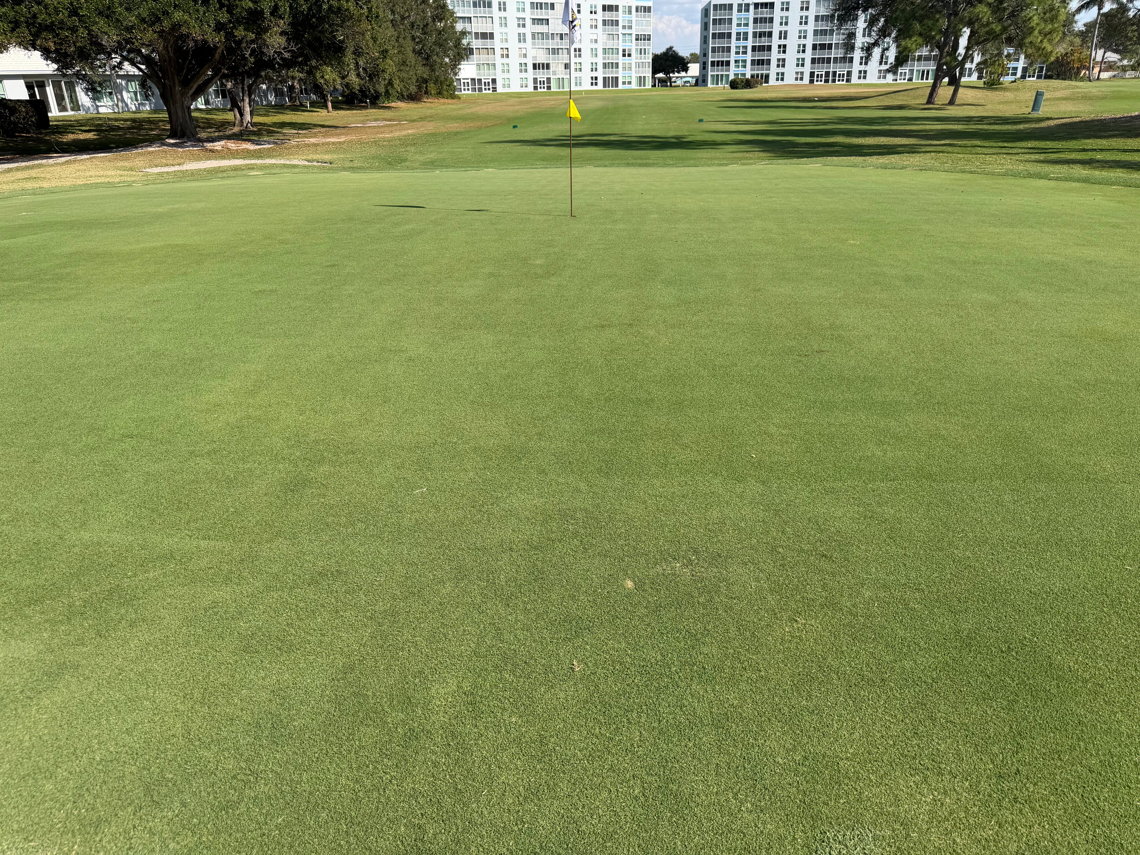 NutriTurf ™