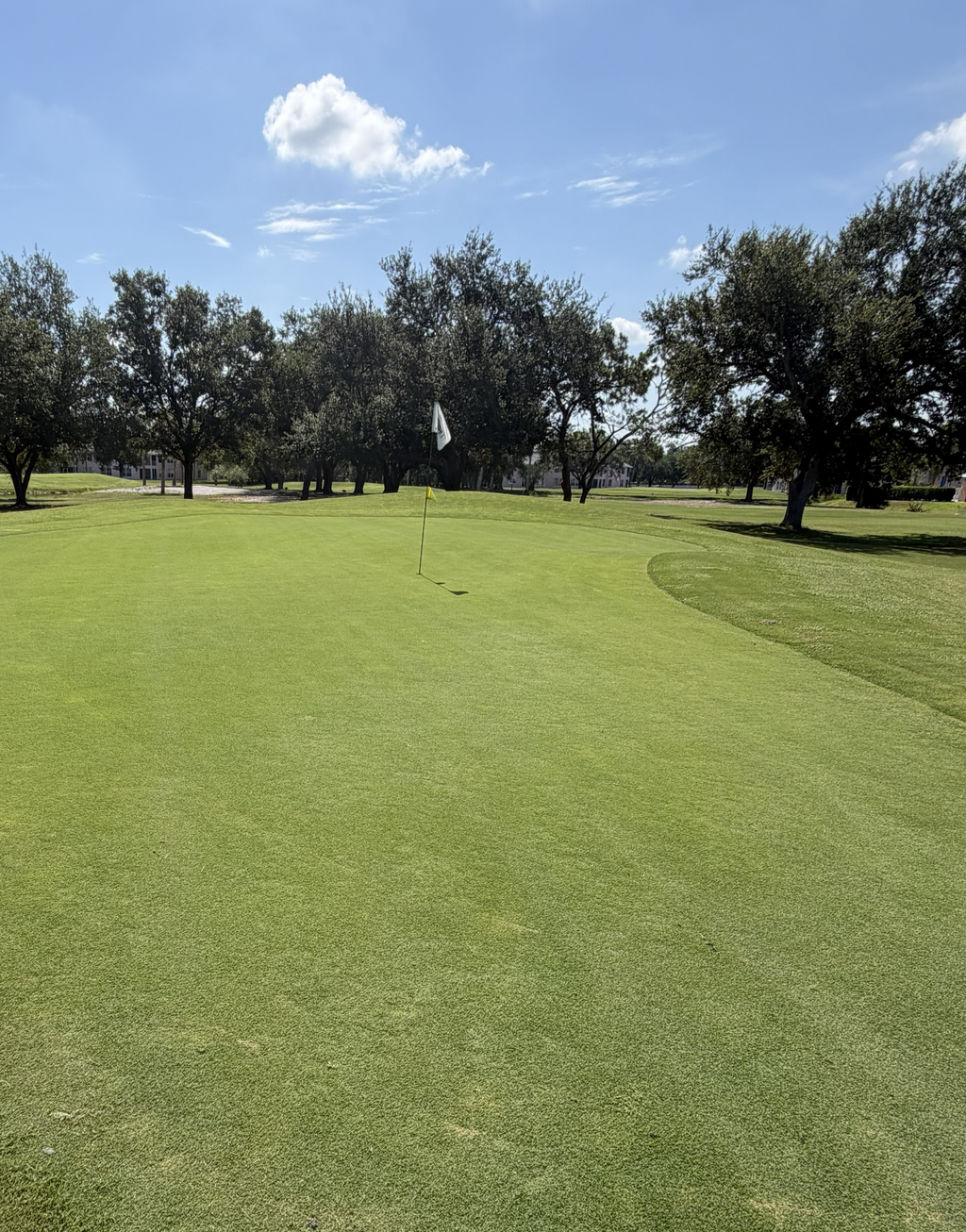 NutriTurf ™