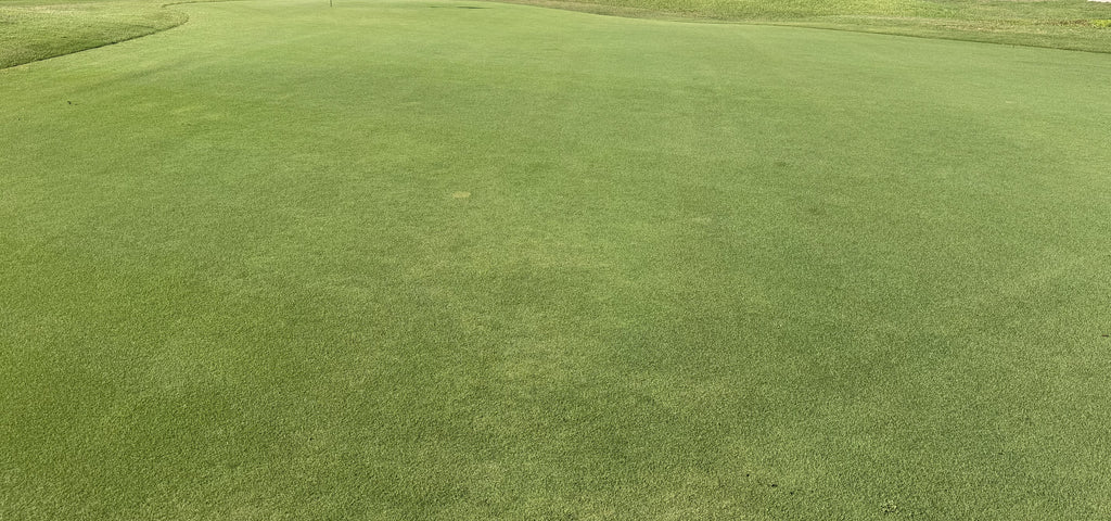 NutriTurf ™