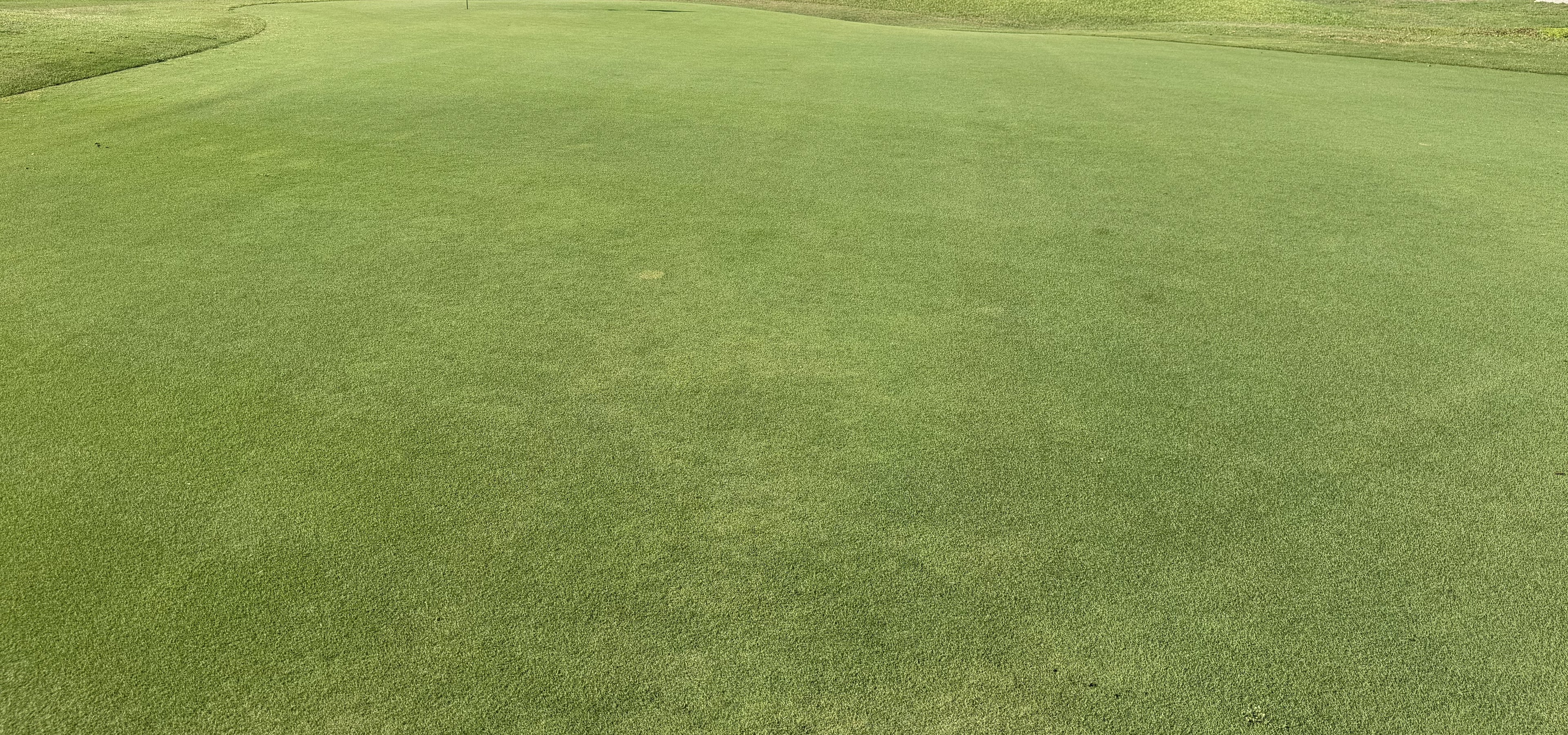 NutriTurf ™